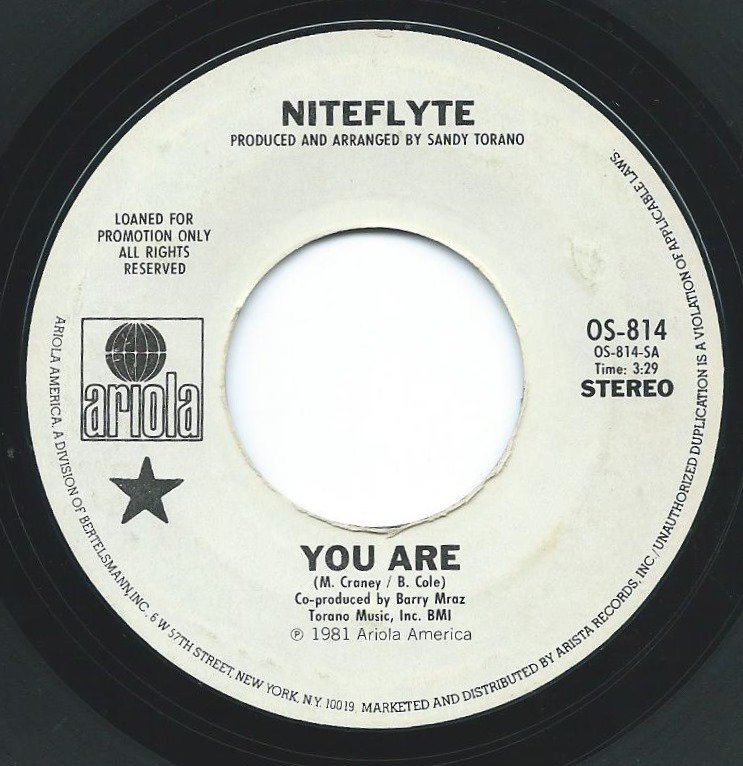 NITEFLYTE ‎/ YOU ARE (7