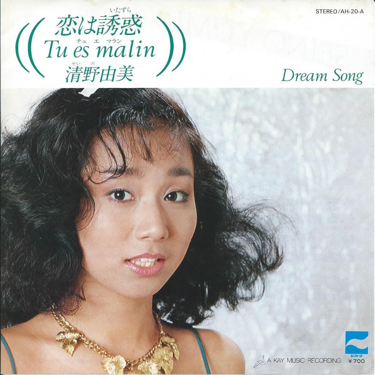JAPANESE GROOVE / 和モノ - CITY POP,LIGHT MELLOW / シティ JAPANESE GROOVE / 和モノ - CITY POP,LIGHT MELLOW / シティ