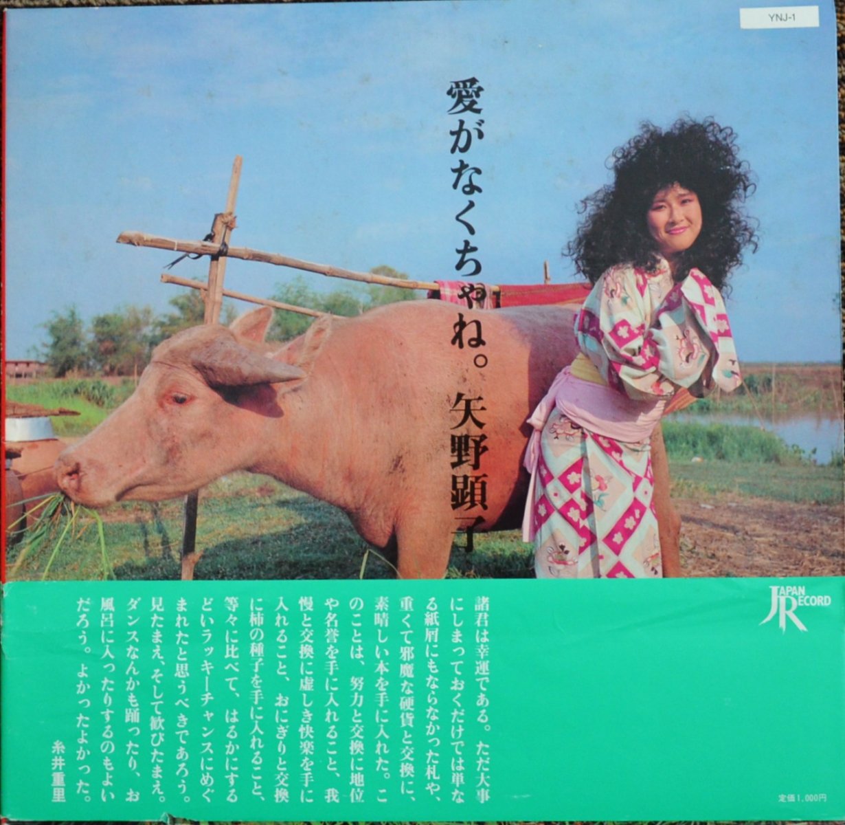 矢野顕子 AKIKO YANO / 愛がなくちゃね。(LP) - HIP TANK RECORDS