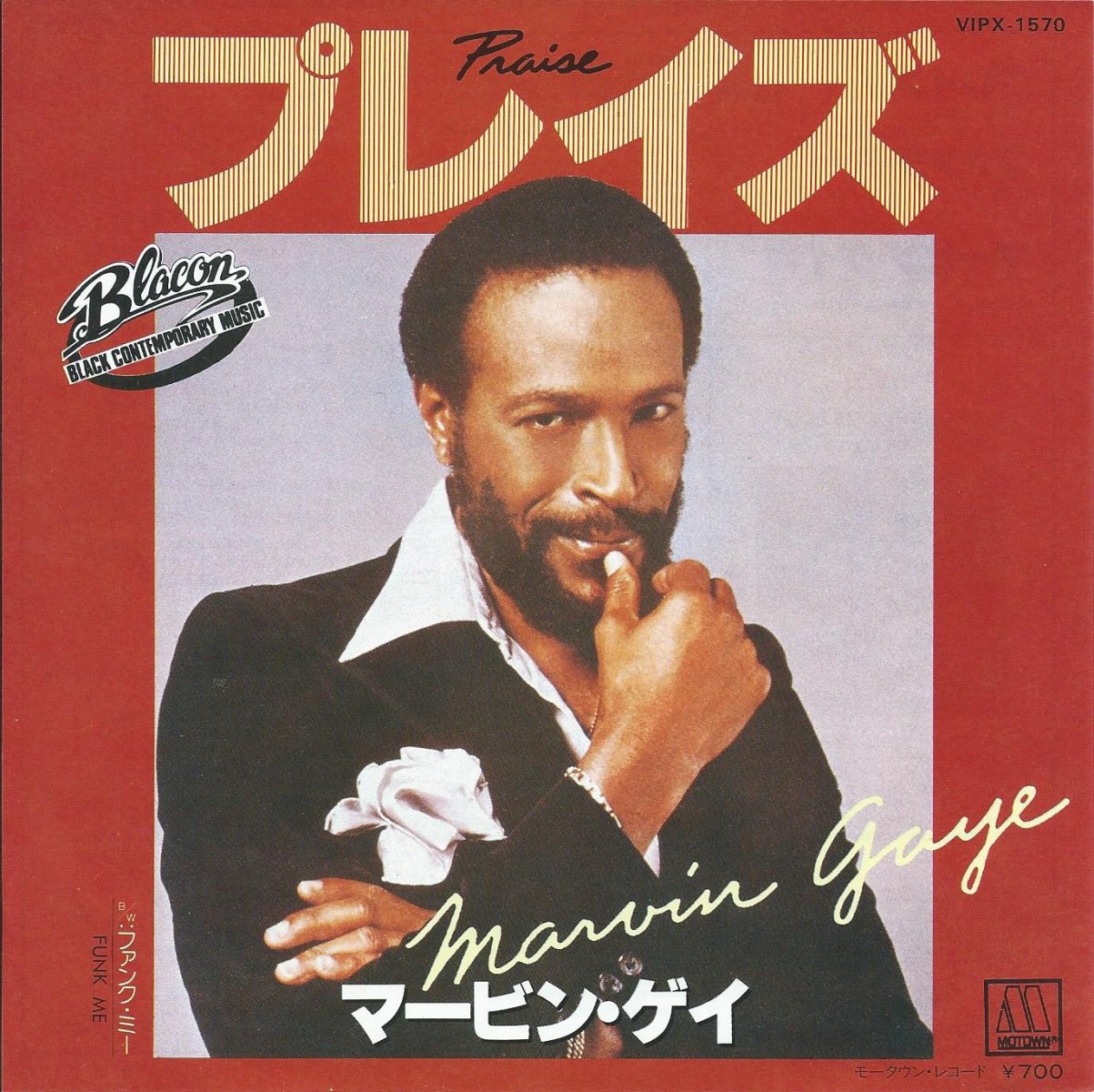 Marvin Gaye　CD 12枚セット　マーヴィンゲイTHATSTUBBO