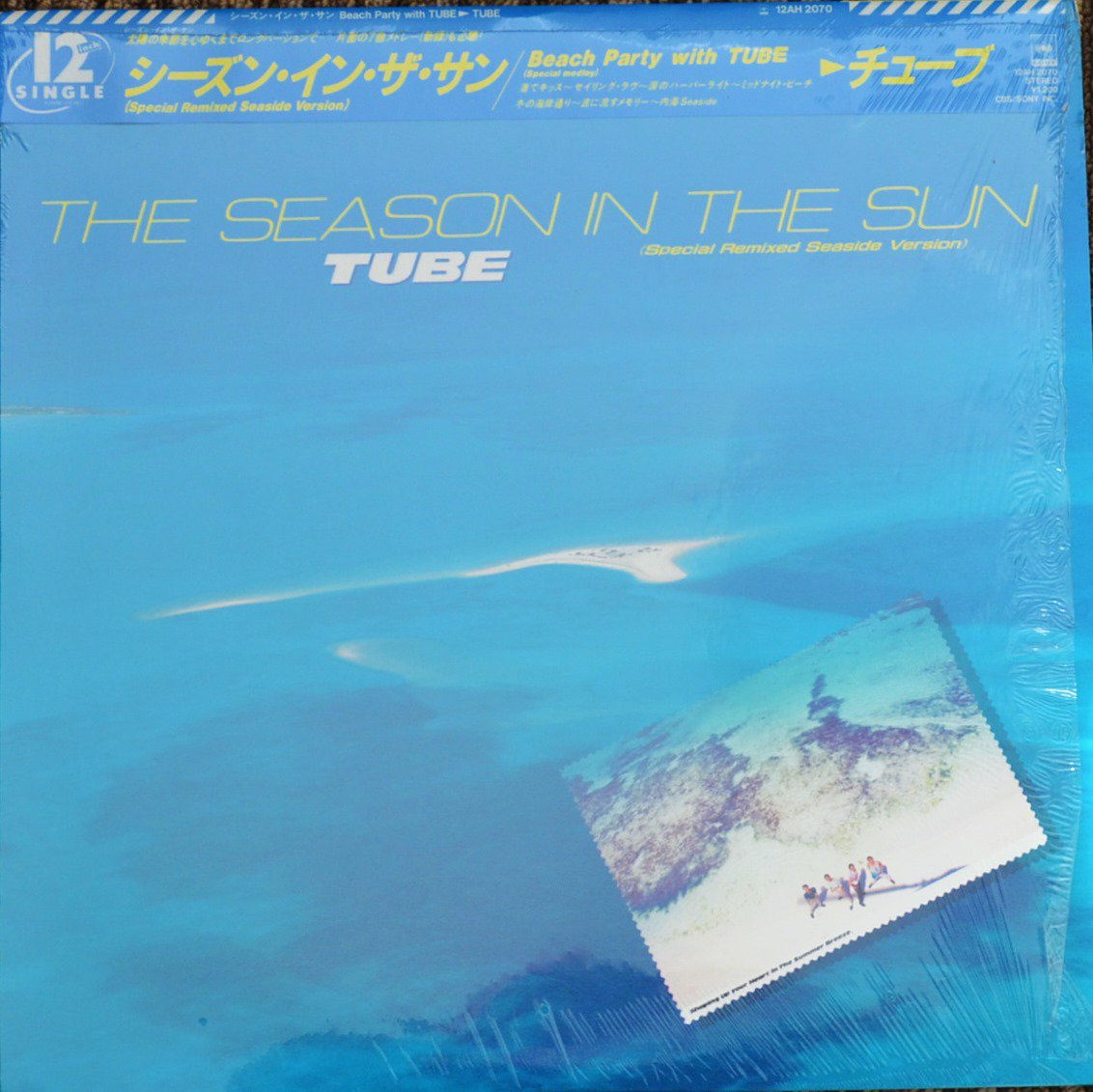 チューブ TUBE シーズン・イン・ザ・サン THE SEASON IN THE SUN SPECIAL REMIXED SEASIDE  VERSION (12