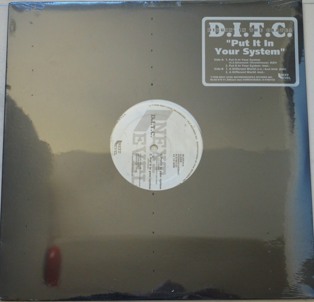 D.I.T.C. / PUT IT IN YOUR SYSTEM / A DIFFERENT WORLD (12