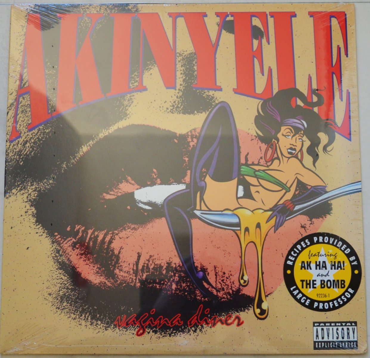 AKINYELE ‎/ VAGINA DINER (1LP) - HIP TANK RECORDS