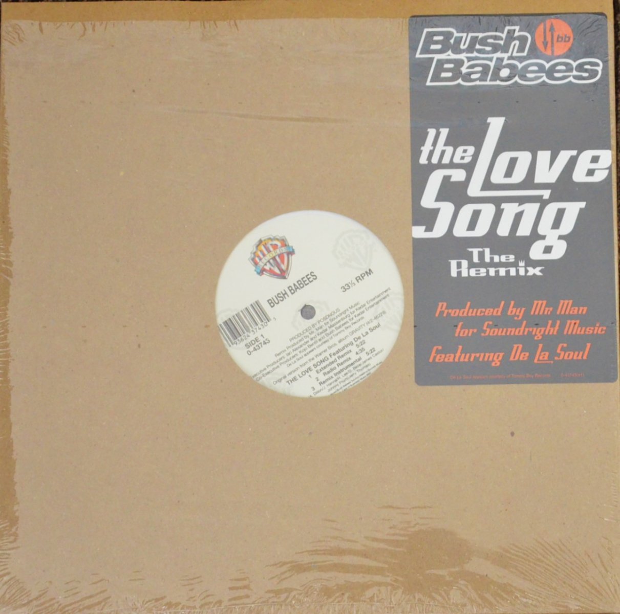 BUSH BABEES / THE LOVE SONG (THE REMIX) (12