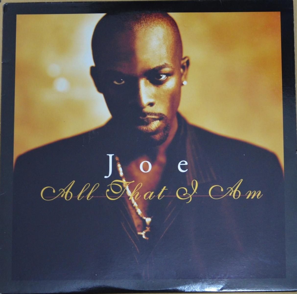 Joe All That I Am レコード　2枚組 JOE / ALL THAT I AM (2LP) - HIP TANK RECORDS