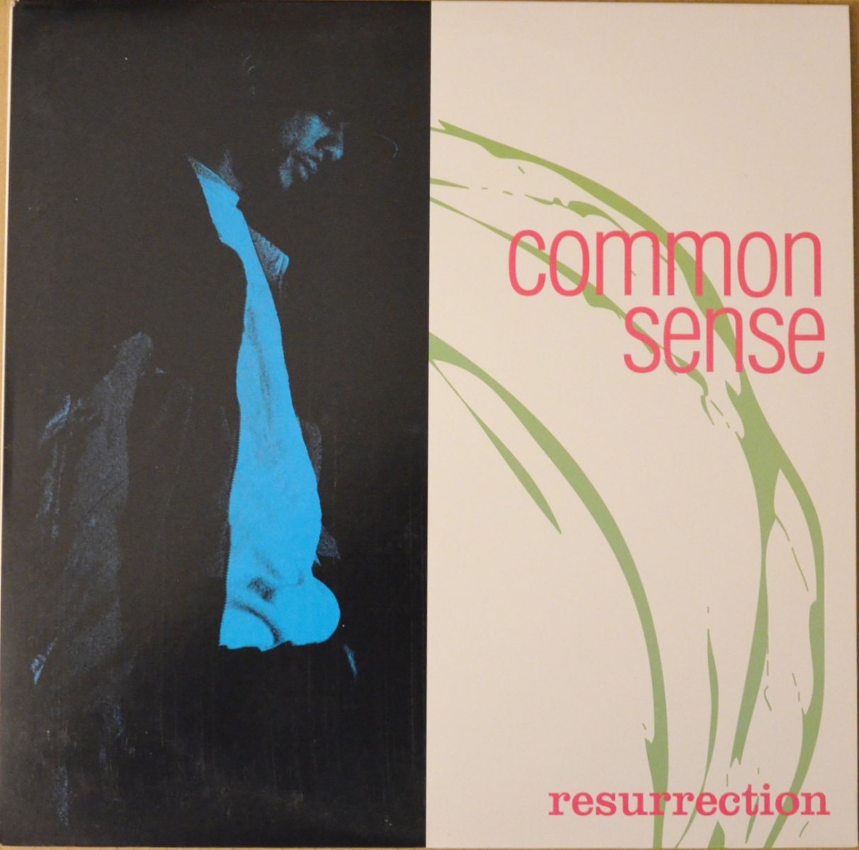 COMMON SENSE / RESURRECTION (1LP) - HIP TANK RECORDS