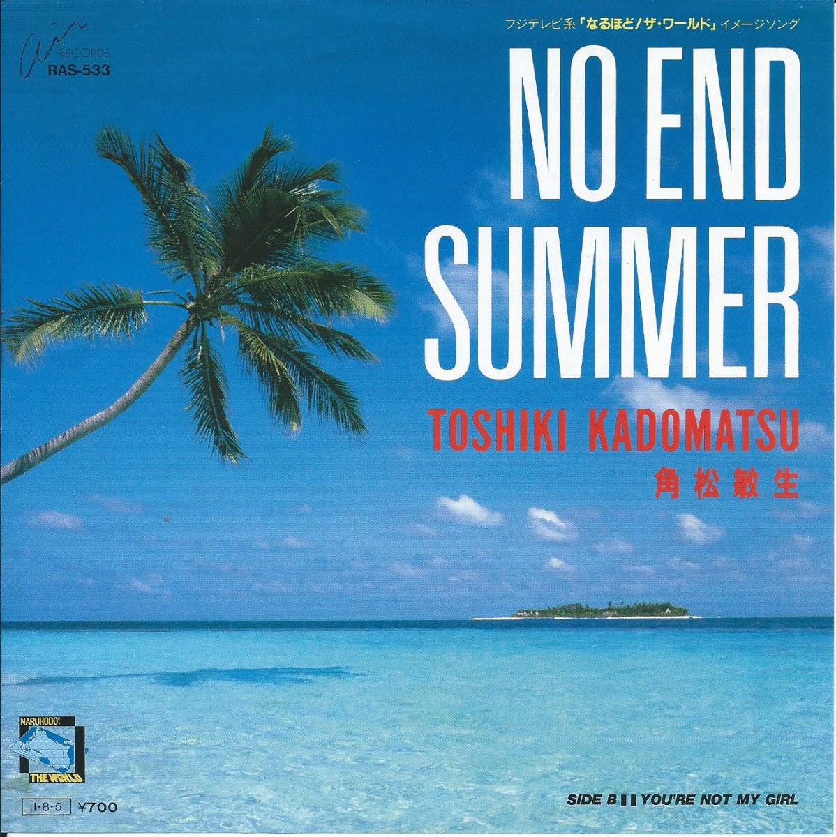 角松敏生 TOSHIKI KADOMATSU / NO END SUMMER / YOU'RE NOT MY GIRL (7