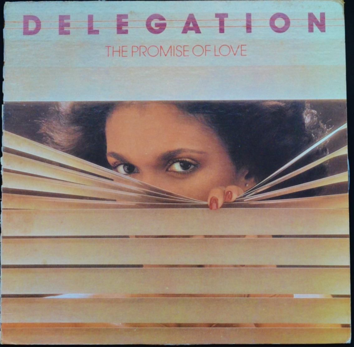 DELEGATION / THE PROMISE OF LOVE (LP) - HIP TANK RECORDS