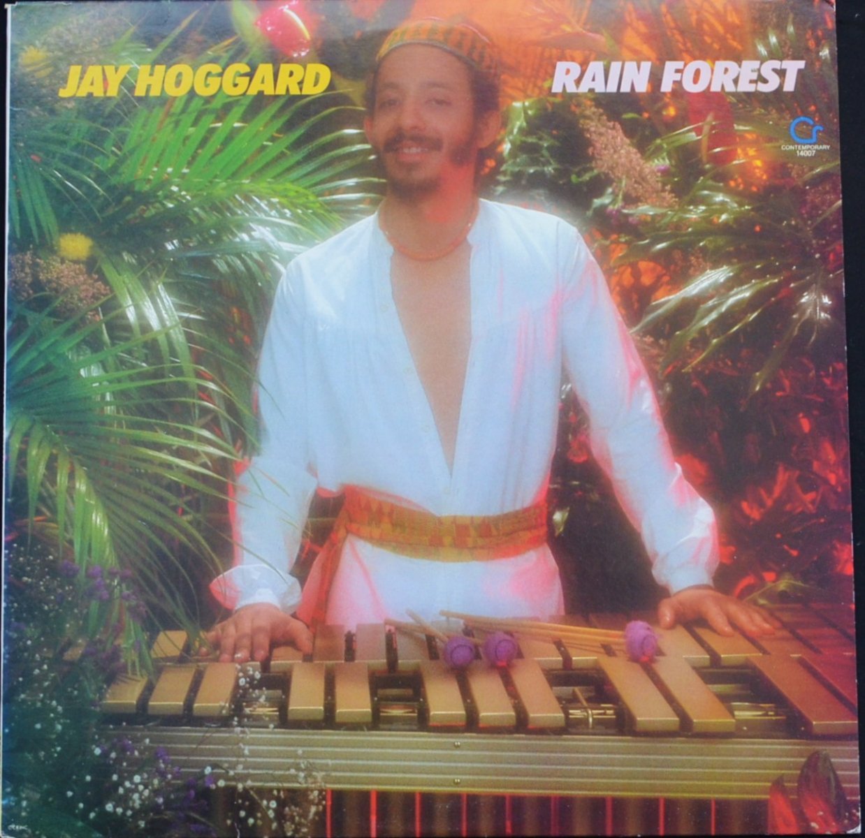 JAY HOGGARD ‎/ RAIN FOREST (LP)