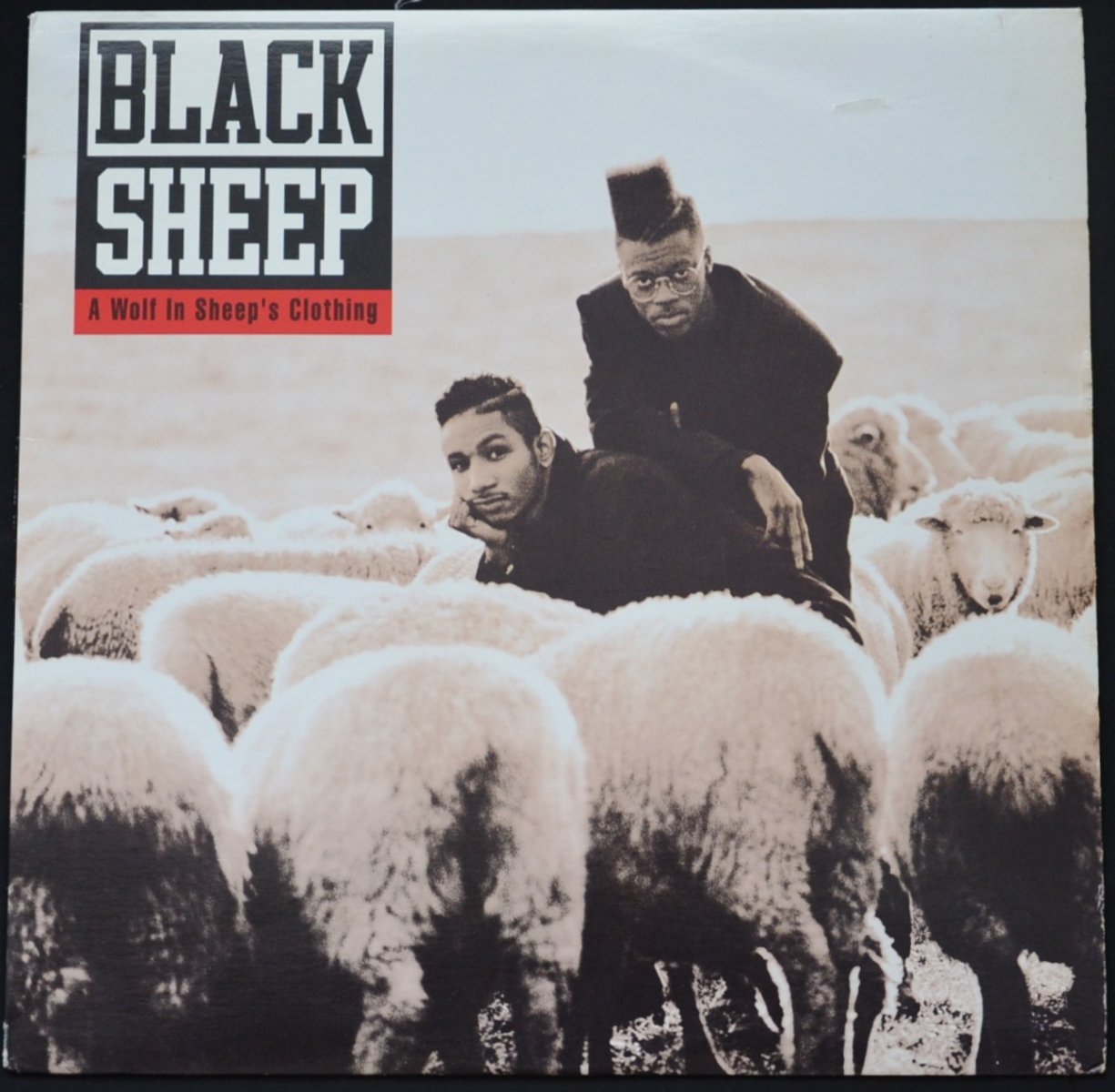 BLACK SHEEP ‎/ A WOLF IN SHEEP'S CLOTHING (1LP)