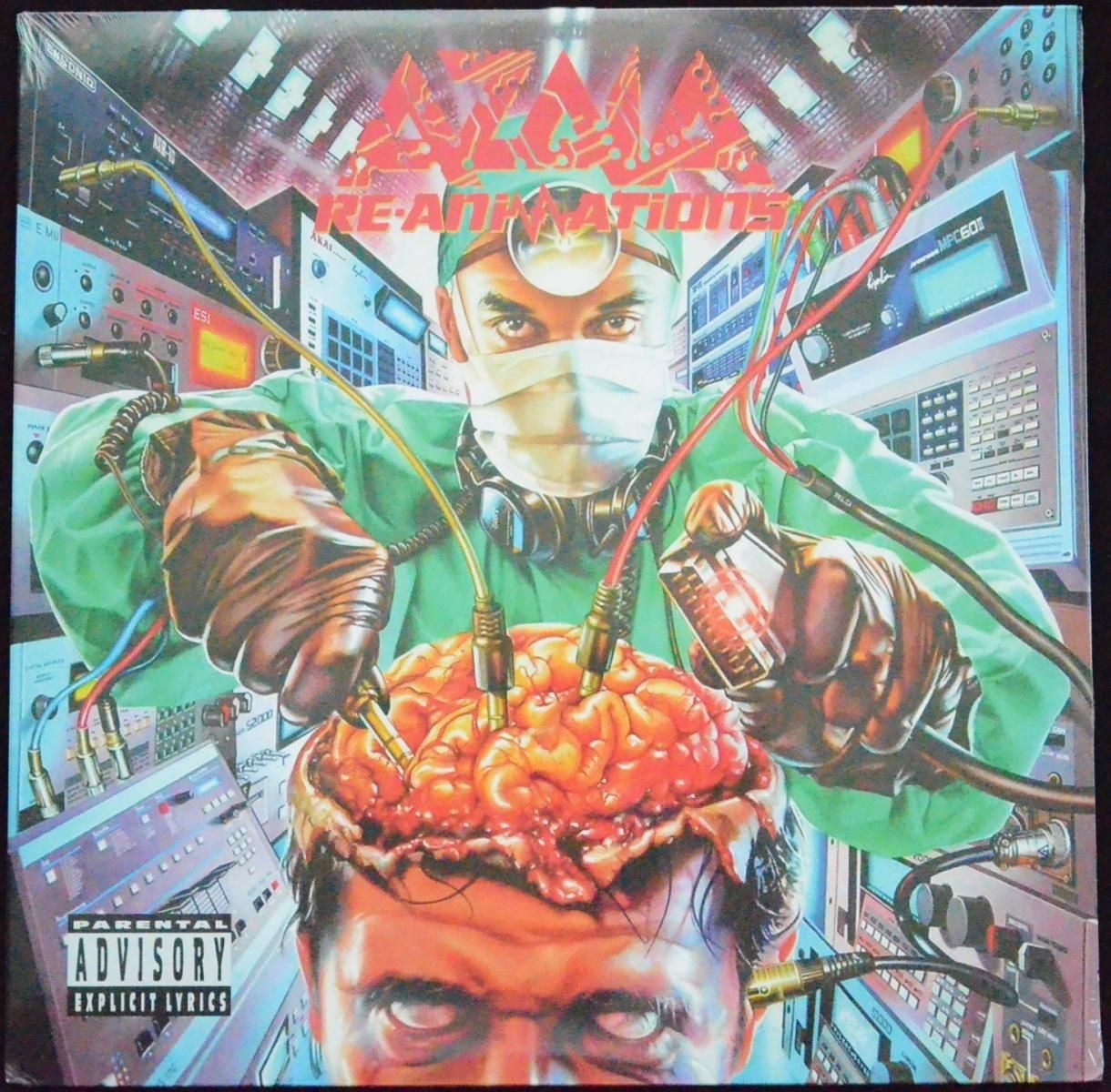 未使用品』Grav Down to Earth LP koco muro 商品検索 - HIP