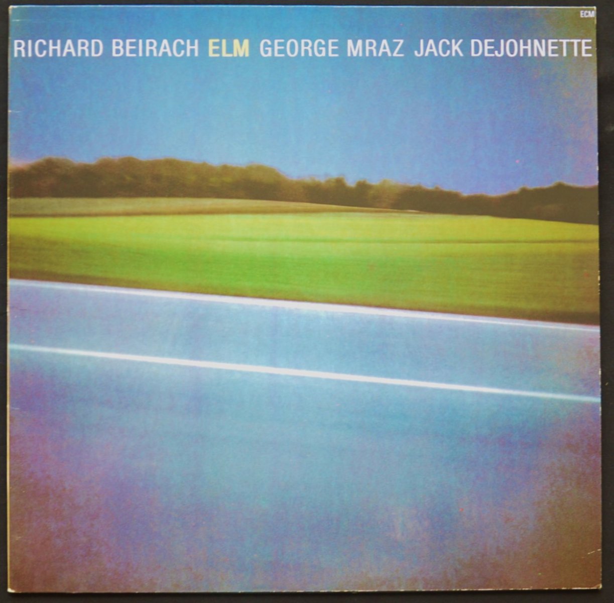 RICHARD BEIRACH / ELM (LP) - HIP TANK RECORDS