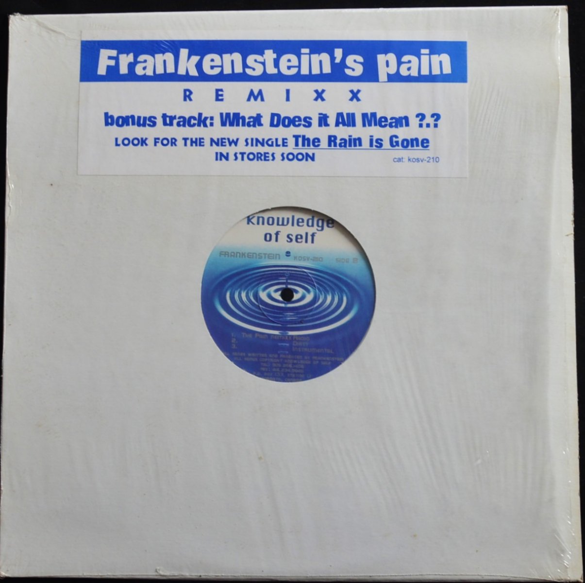 frankenstein-what-does-it-all-mean-the-pain-remixx-12-hip-tank