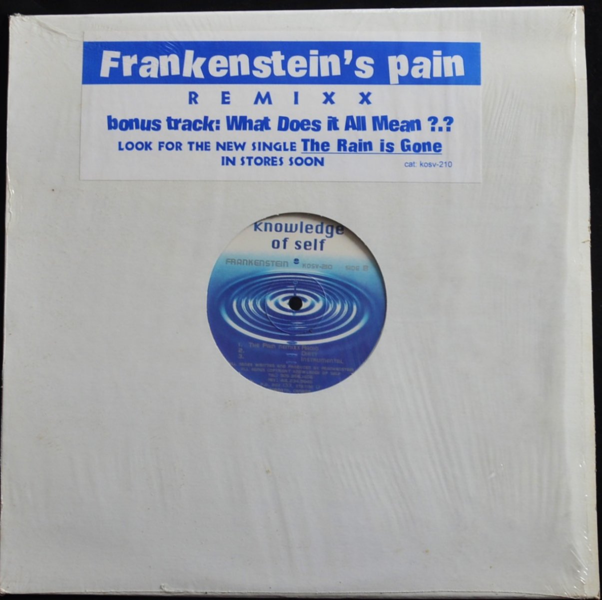 FRANKENSTEIN / WHAT DOES IT ALL MEAN / THE PAIN REMIXX (12