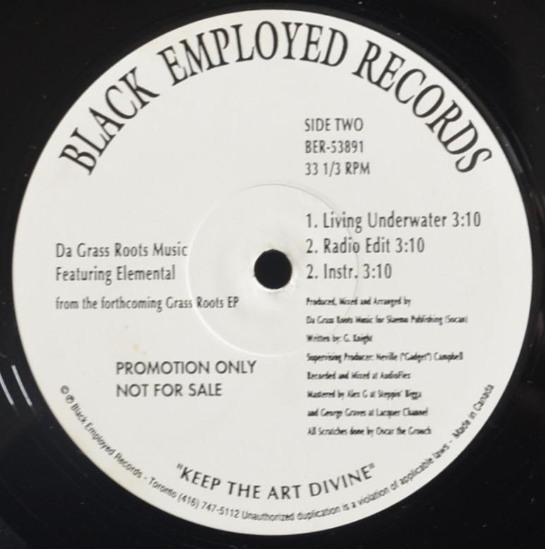 DA GRASS ROOTS MUSIC / DRAMA / LIVING UNDERWATER (12