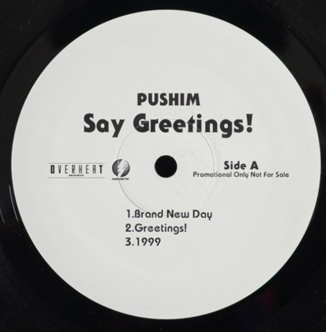 PUSHIM / SAY GREETINGS! (2LP) - HIP TANK RECORDS