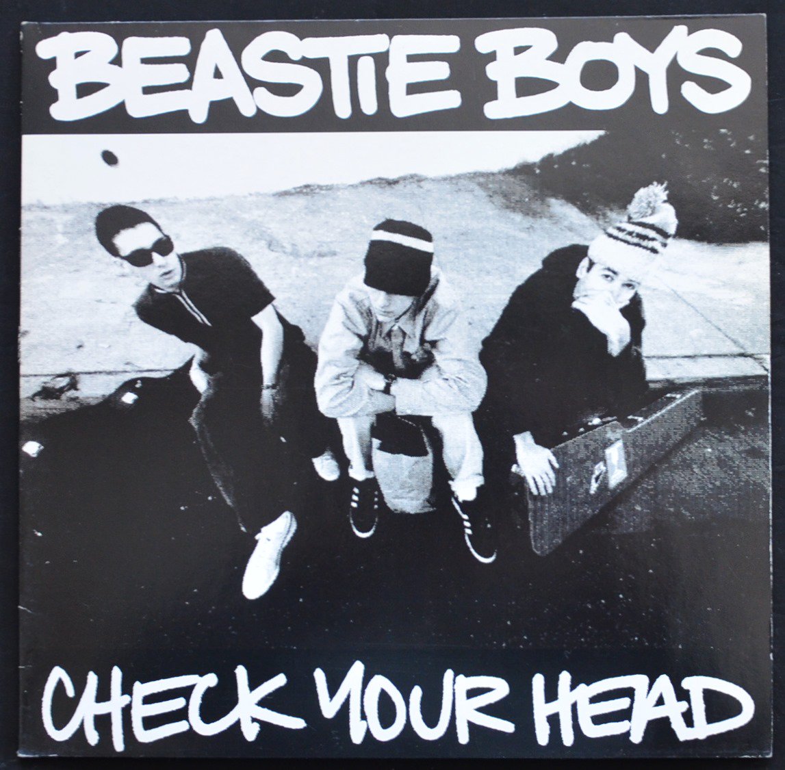 BEASTIE BOYS / CHECK YOUR HEAD (2LP) - HIP TANK RECORDS