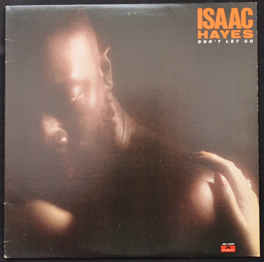 ISAAC HAYES / DON'T LET GO (LP)