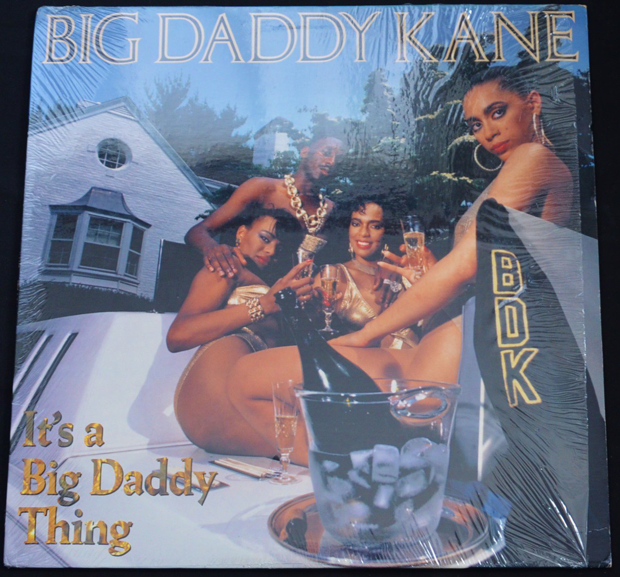 BIG DADDY KANE / IT'S A BIG DADDY THING (1LP) - HIP TANK RECORDS