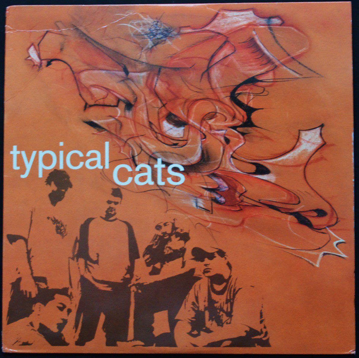 TYPICAL CATS / TYPICAL CATS (1LP)