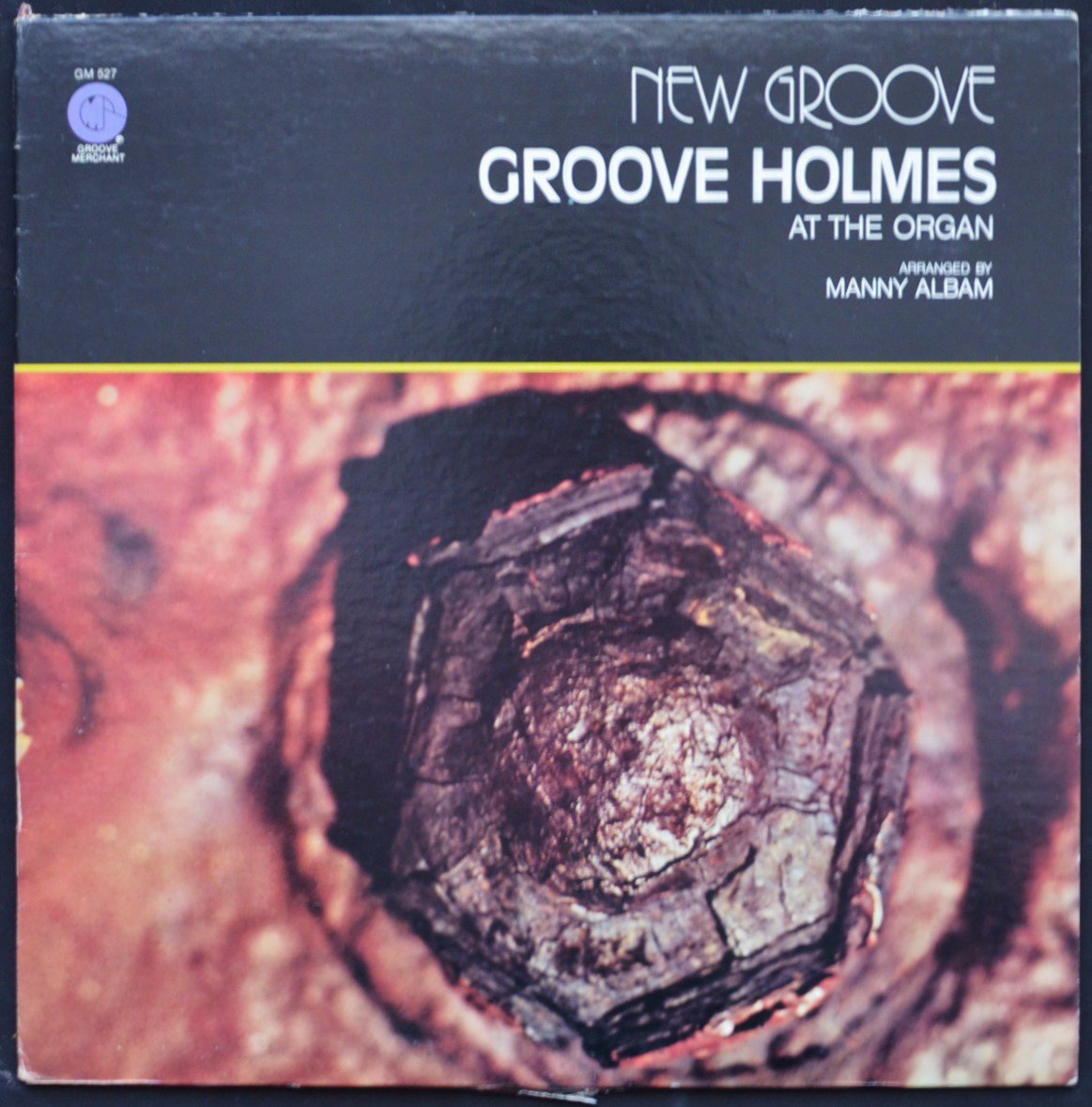 GROOVE HOLMES / NEW GROOVE (LP)
