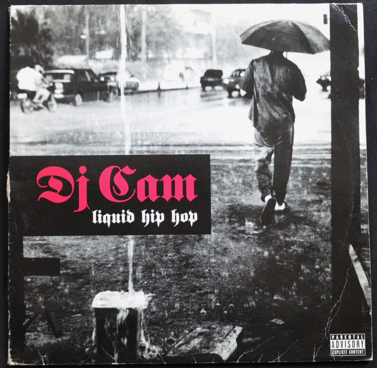 DJ CAM / LIQUID HIP HOP (2LP)