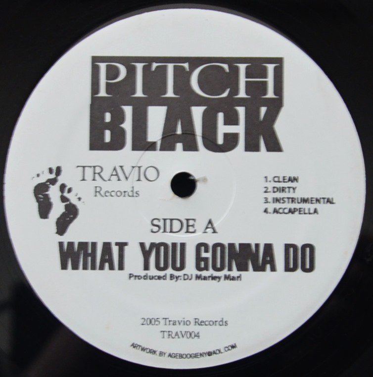 PITCH BLACK / WHAT YOU GONNA DO (PROD BY.MARLEY MARL) / REVENGE (PROD BY.DJ PREMIER) (12