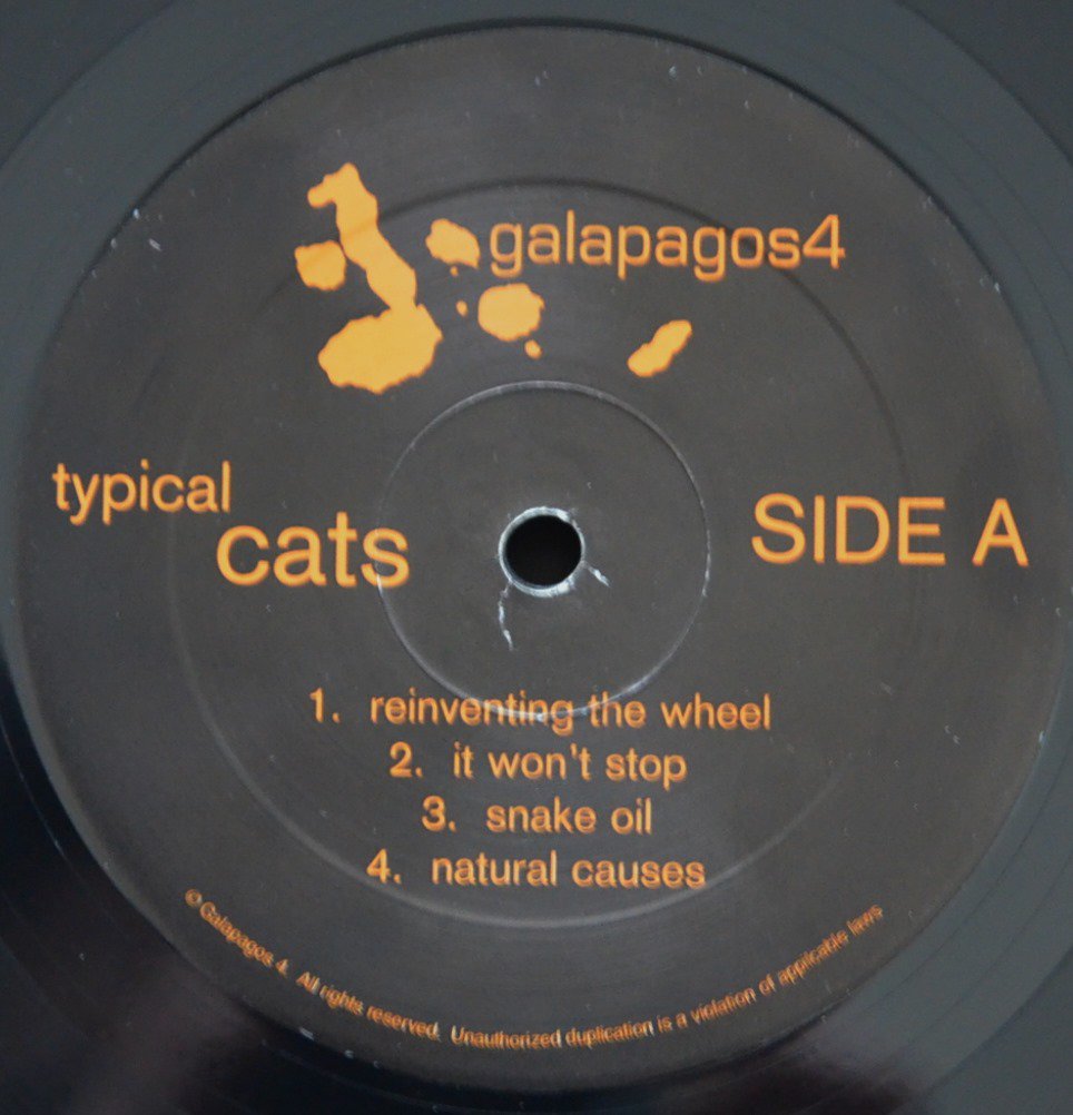 TYPICAL CATS / TYPICAL CATS (1LP) - HIP TANK RECORDS
