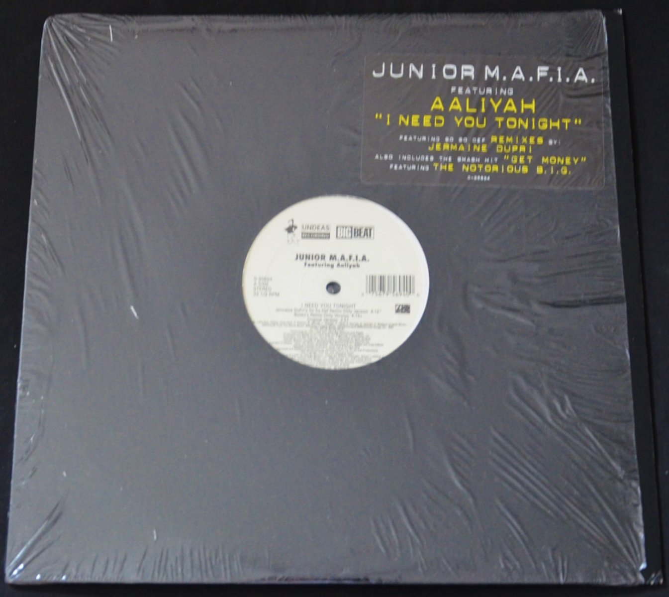 JUNIOR M.A.F.I.A. FEATURING AALIYAH ‎/ I NEED YOU TONIGHT (12