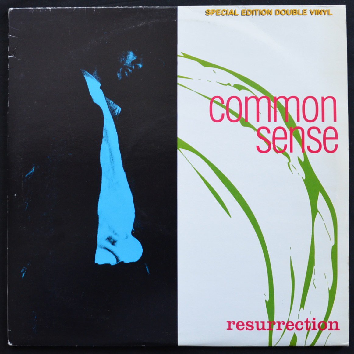 COMMON SENSE / RESURRECTION (2LP) - HIP TANK RECORDS