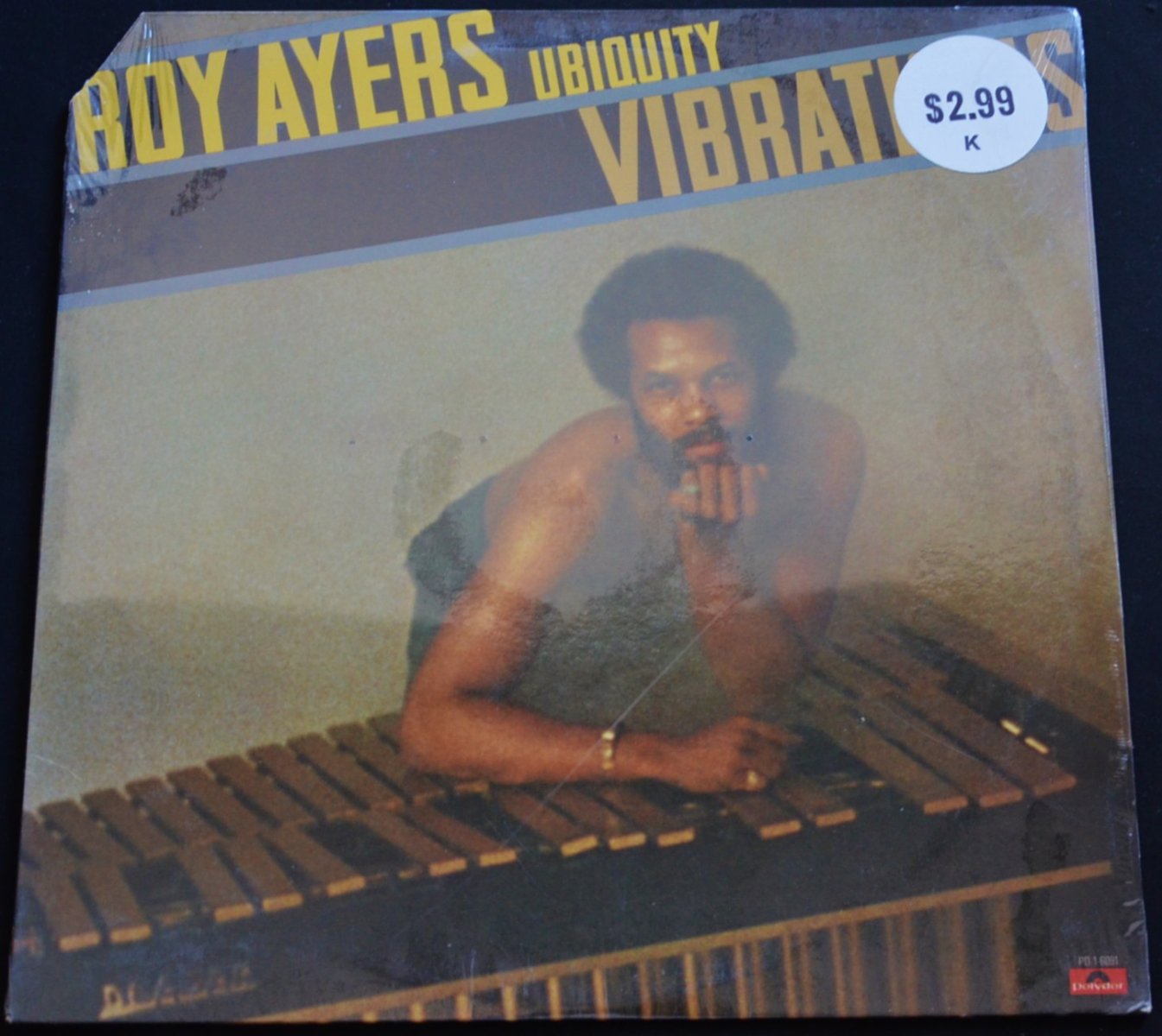 ROY AYERS UBIQUITY / VIBRATIONS (LP) - HIP TANK RECORDS