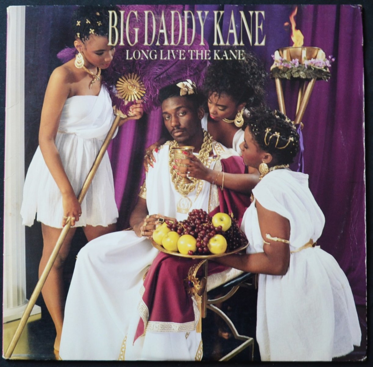 BIG DADDY KANE / LONG LIVE THE KANE (1LP)