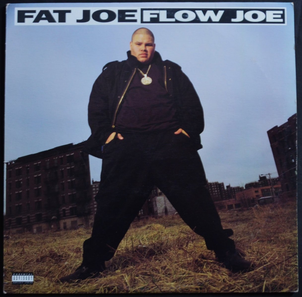 FAT JOE ‎/ FLOW JOE (PROD BY DIAMOND D) / LIVIN' FAT (PROD BY LORD FINESSE) (12