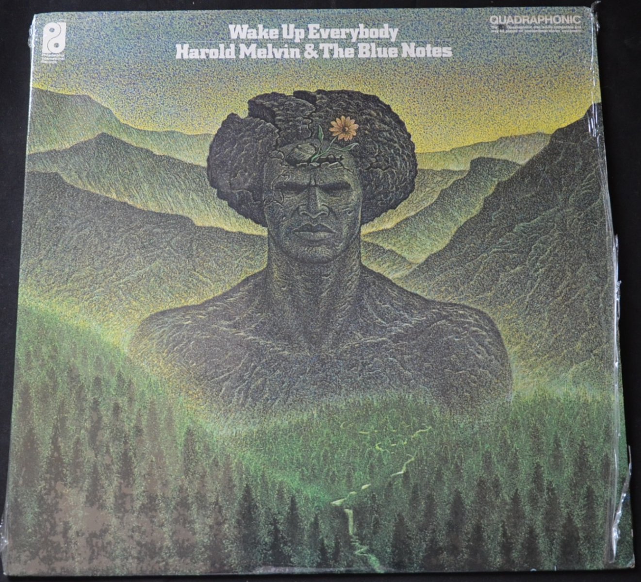 HAROLD MELVIN & THE BLUE NOTES / WAKE UP EVERYBODY (LP)