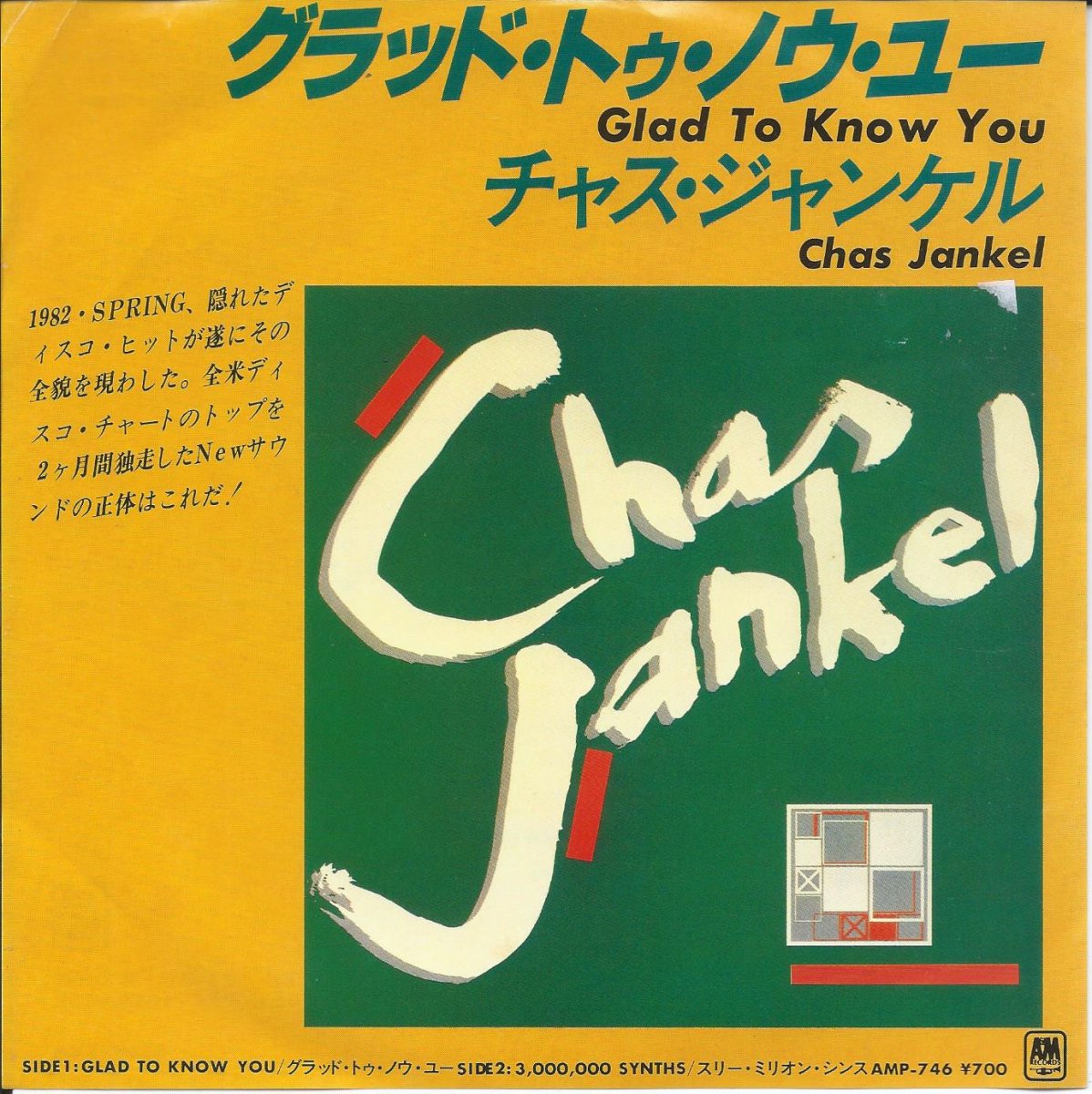 㥹󥱥 CHAS JANKEL /åɡȥΥ桼 GLAD TO KNOW YOU (7