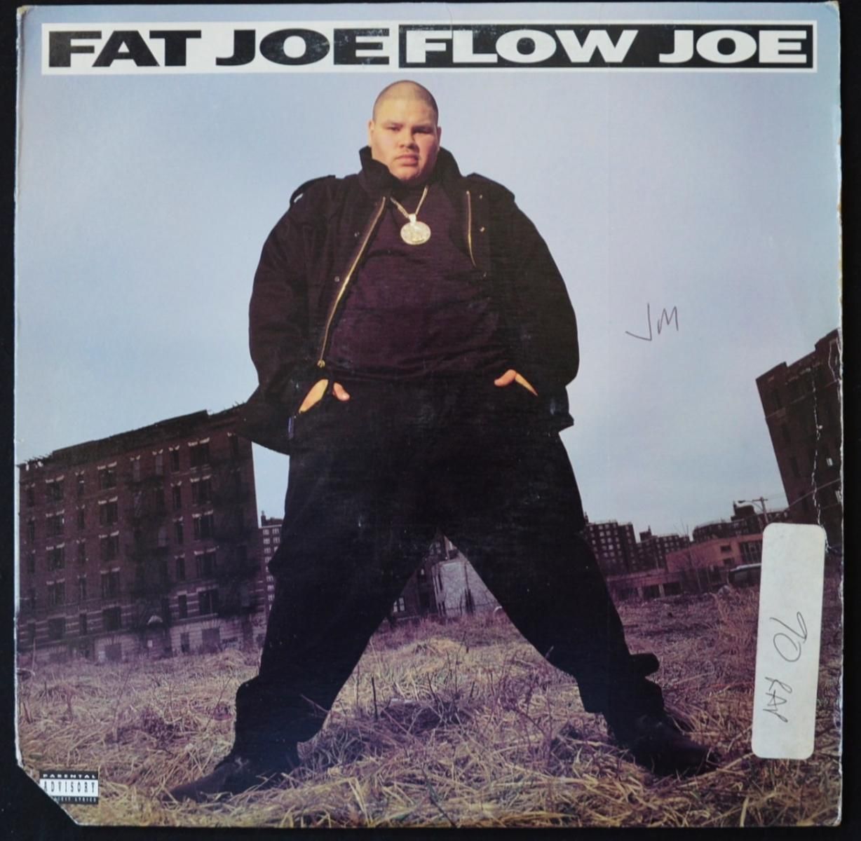 FAT JOE ‎/ FLOW JOE (PROD BY DIAMOND D) / LIVIN' FAT (PROD BY LORD FINESSE) (12