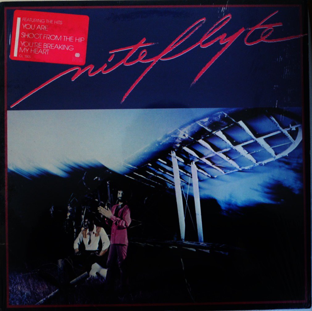 niteflyte『niteflyte Ⅱ』LPレコード - レコード