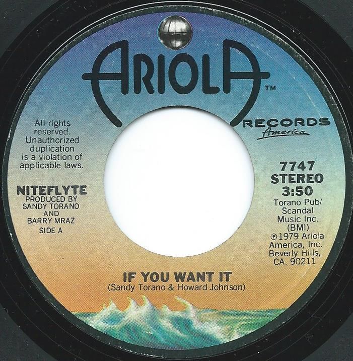 Niteflyte｜If You Want It (7)｜レコード通販｜vivrantdiscstore