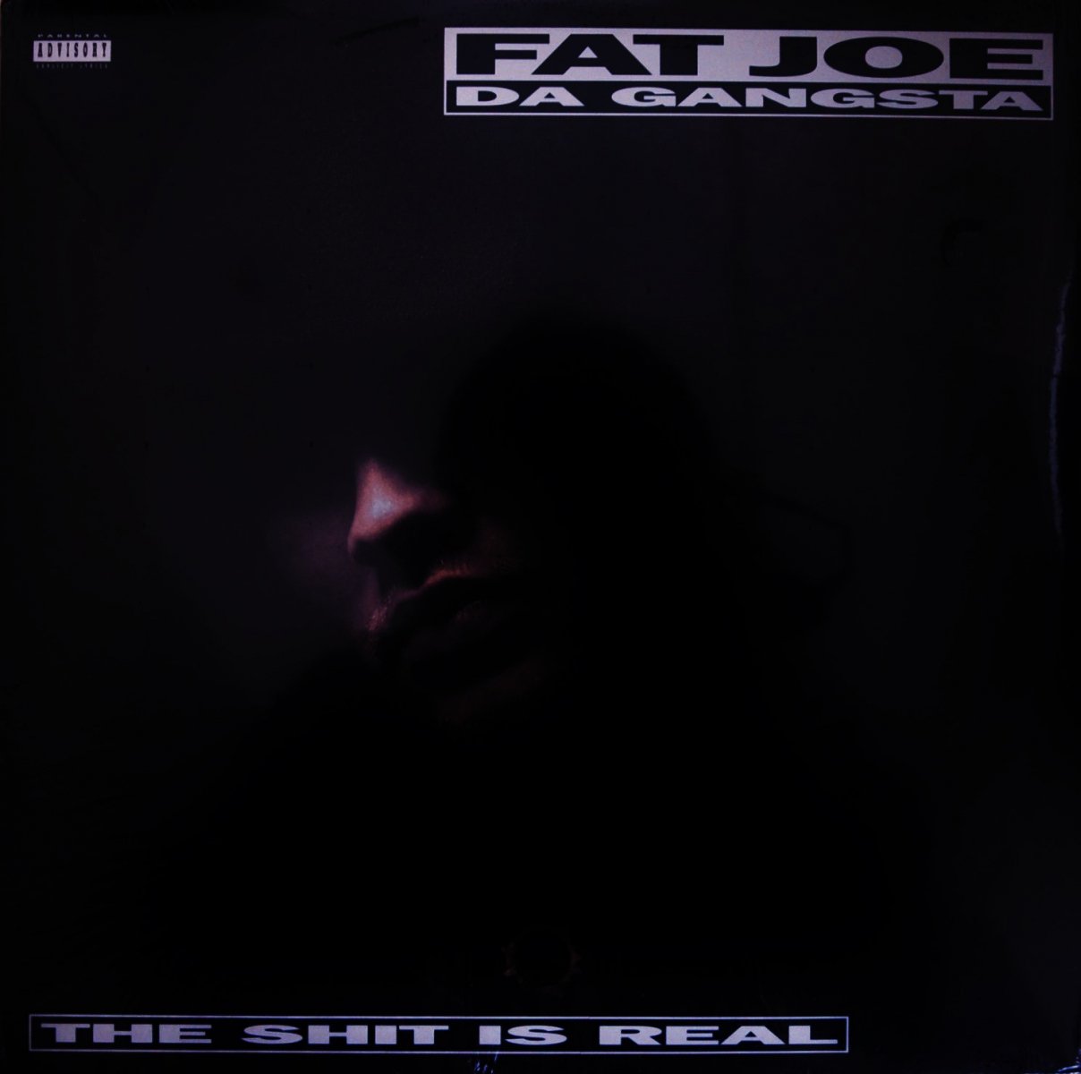FAT JOE / THE SHITS REAL (DJ PREMIER REMIX) (12