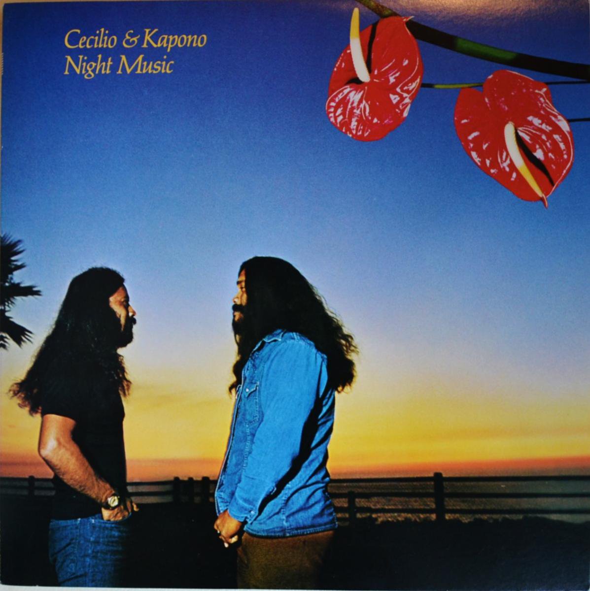 セシリオ & カポノ CECILIO & KAPONO / ナイト・ミュージック NIGHT MUSIC (LP) - HIP TANK RECORDS