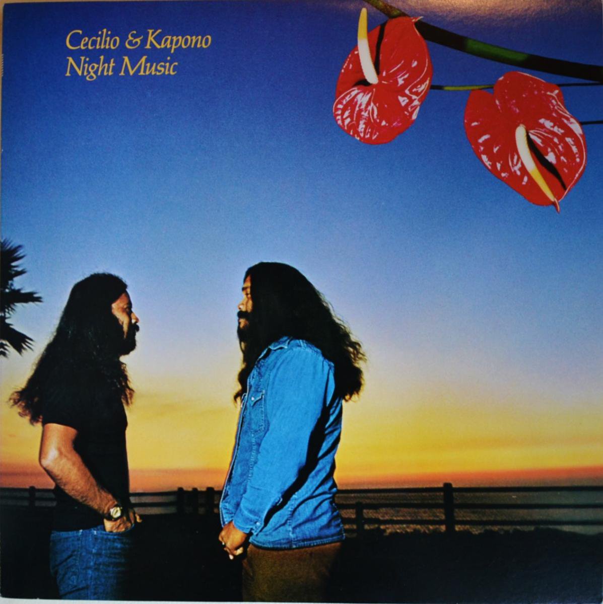 ꥪ & ݥ CECILIO & KAPONO / ʥȡߥ塼å NIGHT MUSIC (LP)