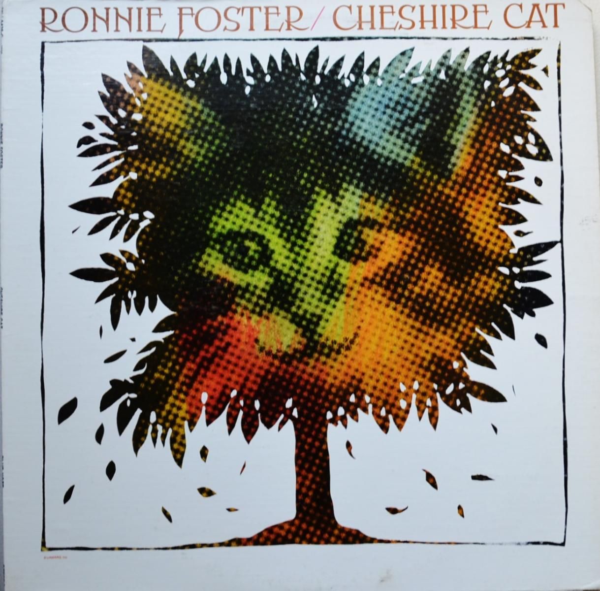 ★ＵＳオリジナル盤★レアグルーヴ！『CHESHIRE CAT』ロニー・フォスター RONNIE FOSTER / CHESHIRE CAT (LP) - HIP TANK RECORDS