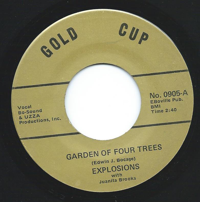 THE EXPLOSIONS WITH JUANITA BROOKS / GARDEN OF FOUR TREES / TEACH ME (7