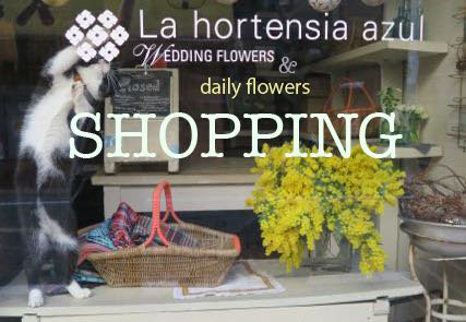 La hortensia azulSHOPPING