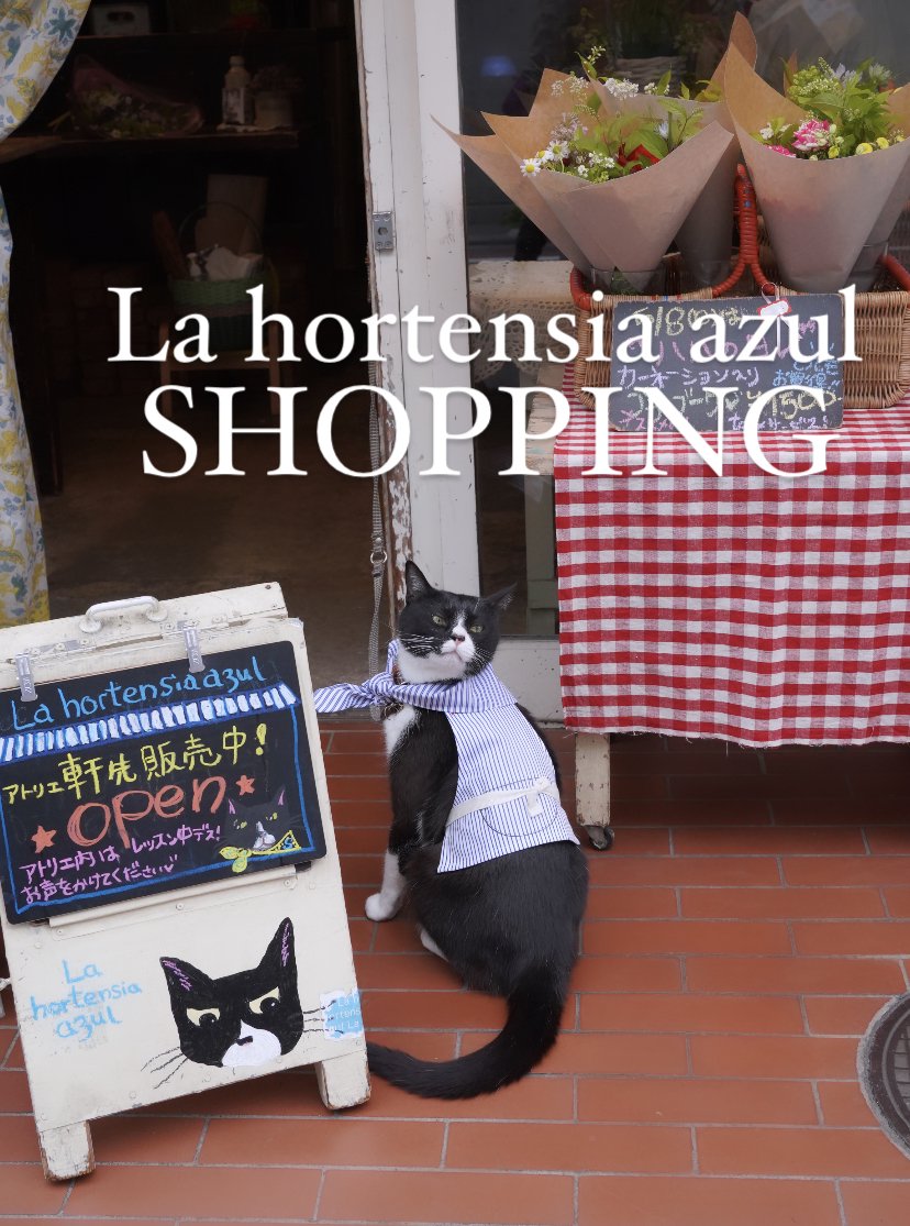 La hortensia azul＊SHOPPING