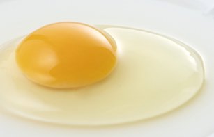 米たまご 1パック 6個入り でんぱたオンラインショップ 米たまご 1パック 6個入り でんぱたオンラインショップ