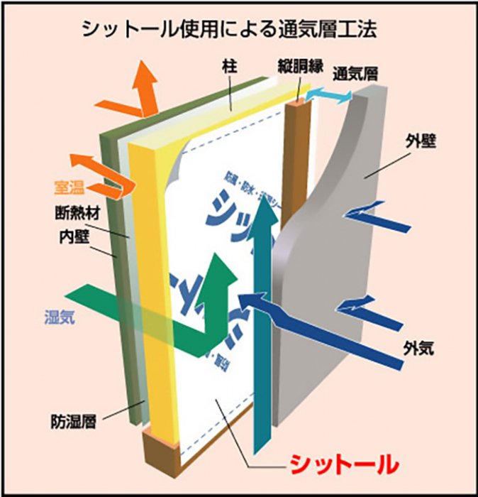 透湿防水シート 点線印刷品 50m巻 （10本/セット） 外壁下地材 防風