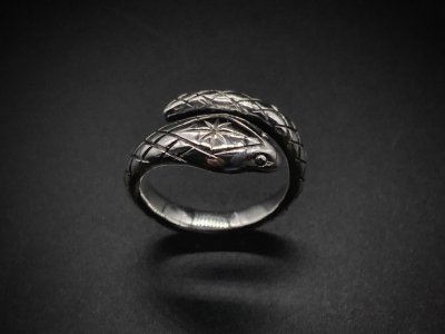 <img class='new_mark_img1' src='https://img.shop-pro.jp/img/new/icons2.gif' style='border:none;display:inline;margin:0px;padding:0px;width:auto;' /> jewelry/snake charm ring 