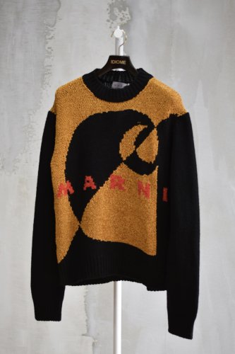 Crewneck Sweater<img class='new_mark_img2' src='https://img.shop-pro.jp/img/new/icons14.gif' style='border:none;display:inline;margin:0px;padding:0px;width:auto;' />