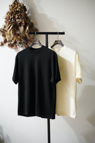Summer Wool Tee<img class='new_mark_img2' src='https://img.shop-pro.jp/img/new/icons14.gif' style='border:none;display:inline;margin:0px;padding:0px;width:auto;' />